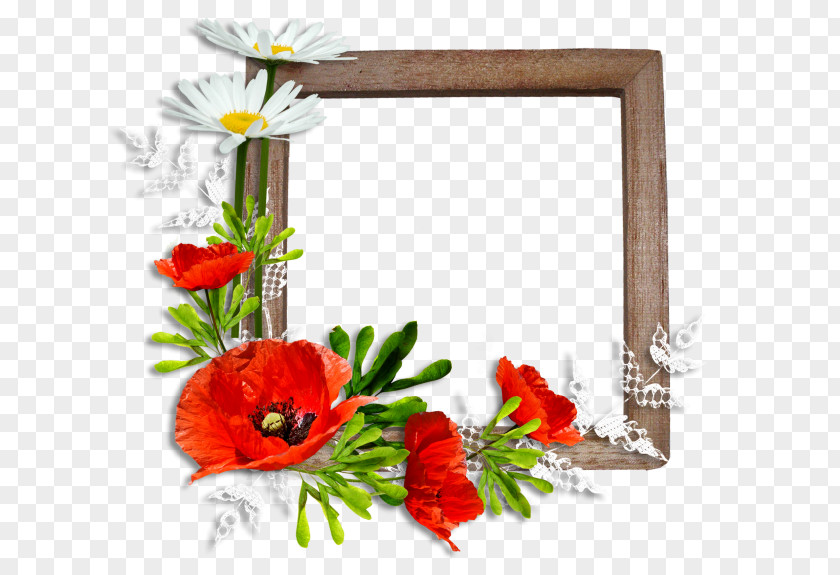 Picture Frames Poppy Flower Clip Art PNG