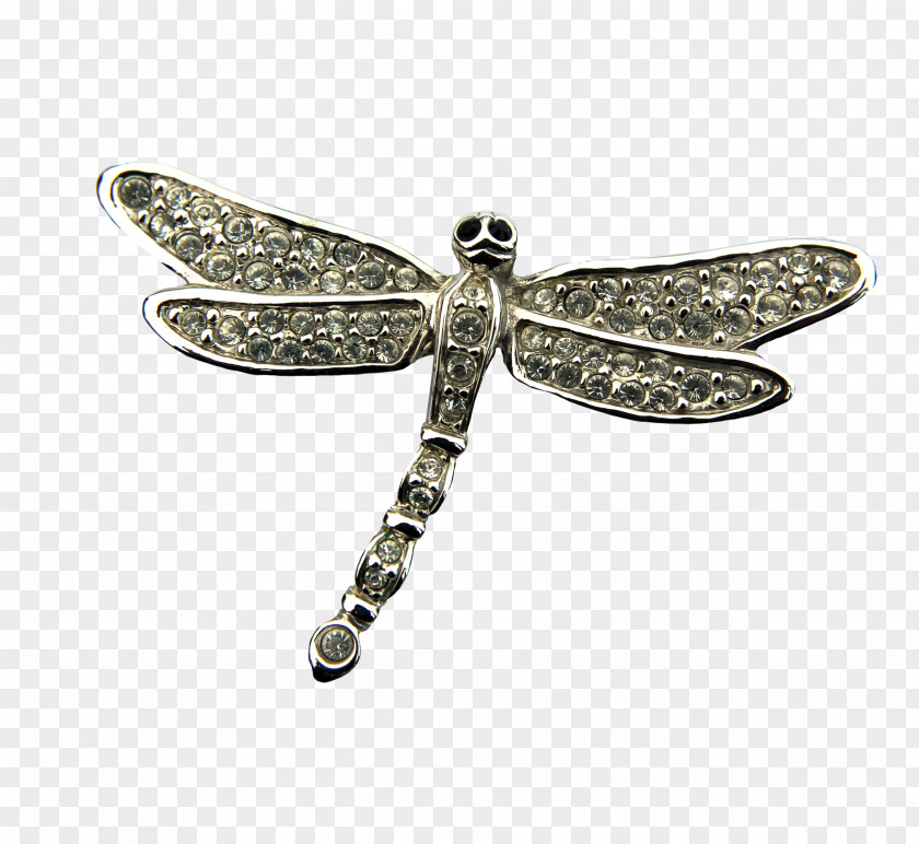 Silver Dragonfly Decoration Insect PNG