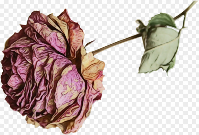 Vegetable Bud Flower Art Watercolor PNG