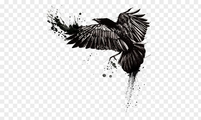 Crow Tattoo Ink Sleeve Black-and-gray Common Raven PNG