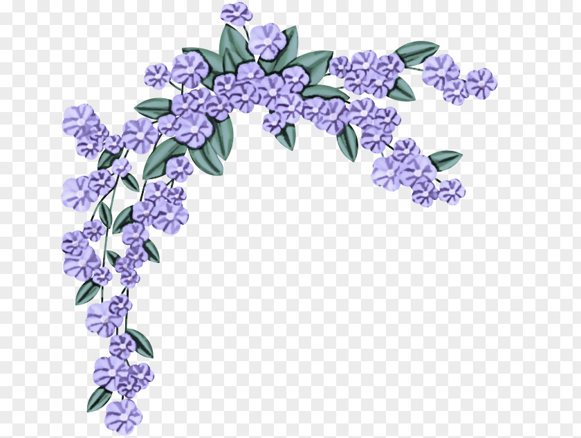 Dendrobium Flowering Plant Lavender PNG