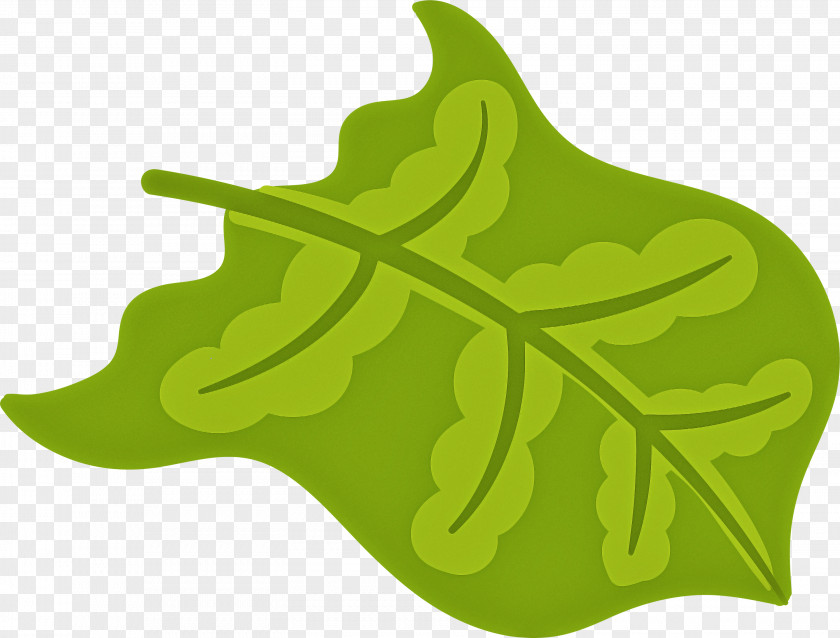 Leaf PNG