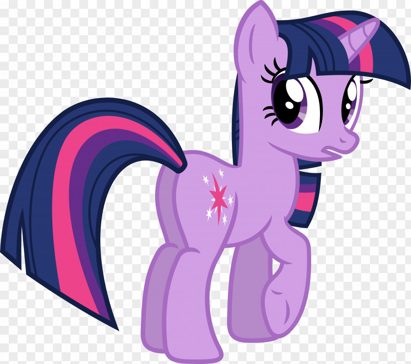 Sparkle Vector Twilight Rainbow Dash Pony Pinkie Pie Princess Cadance PNG