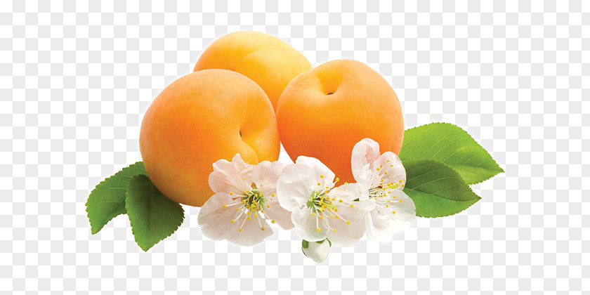 Apricot Kernel Desktop Wallpaper Fruit Flower Tangerine PNG