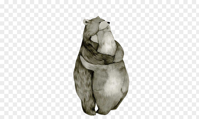 Bear Hug Creative Picture Drawing Illustration PNG