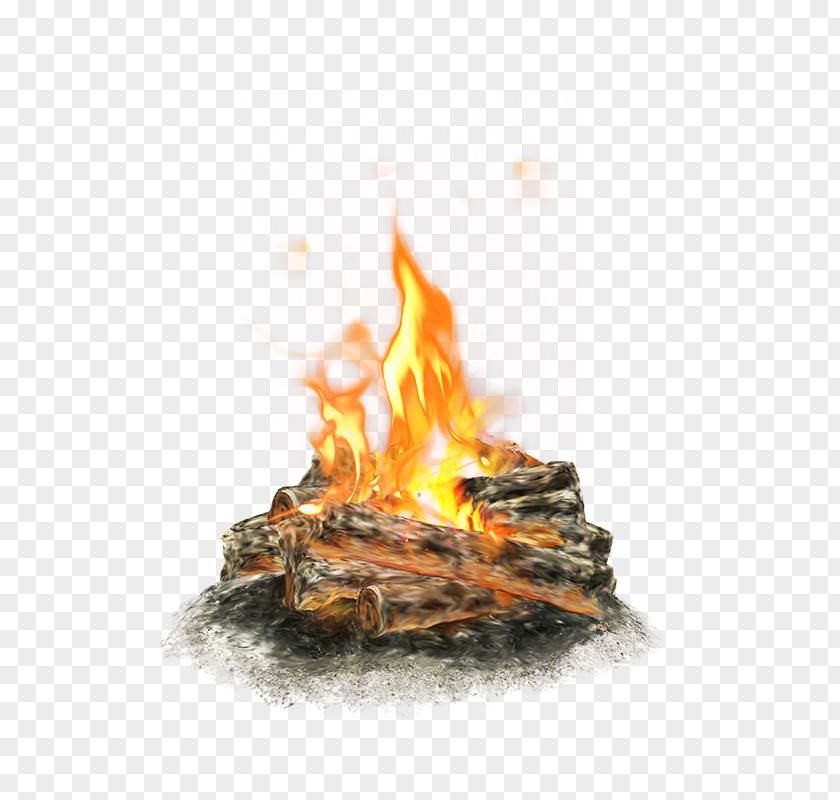 Bonfire Creative Fire Pit Flame Stove Combustion PNG