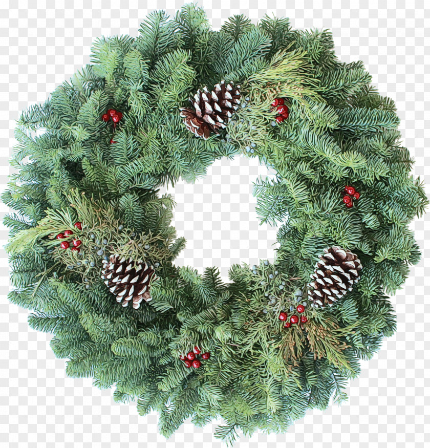Conifer Plant Christmas Decoration PNG