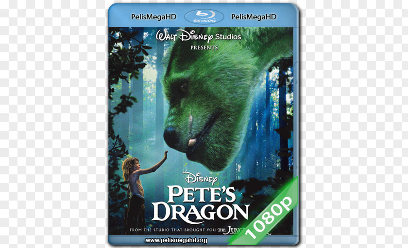Dvd Film Blu-ray Disc DVD The Walt Disney Company Digital Copy PNG