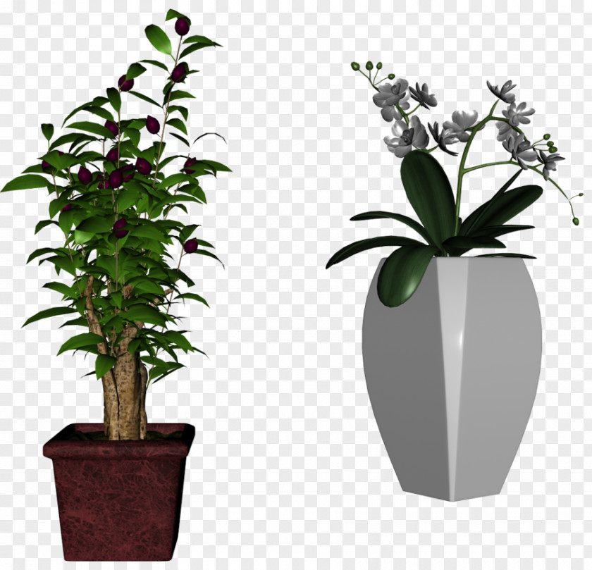 Tree Flowerpot Houseplant PNG