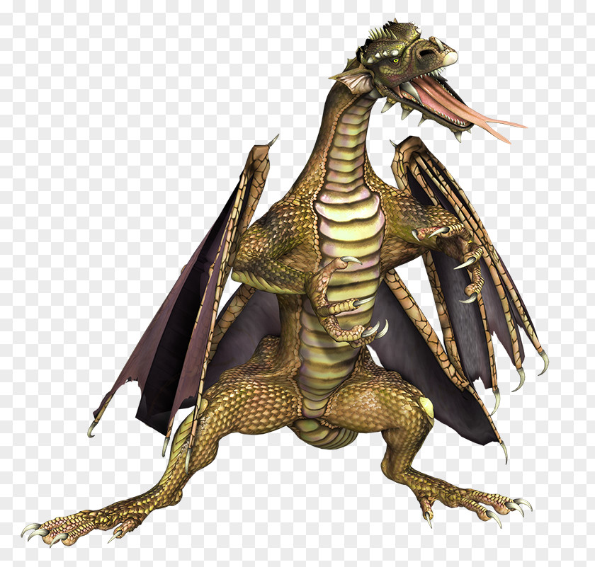 Bearded Dragon PlayStation 4 Chinese Fantasy PNG