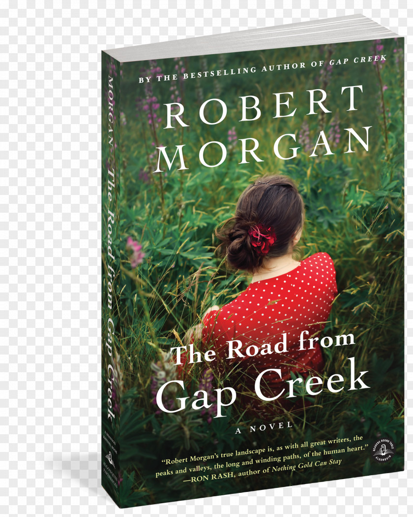 Book The Road From Gap Creek: A Novel Paperback Advertising PNG