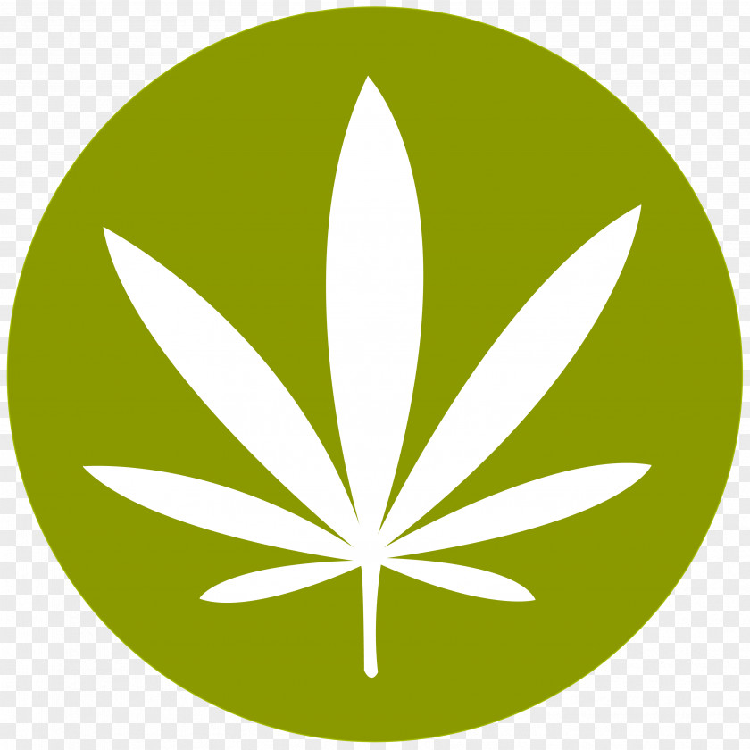 Cannabis Smoking Medical Legality Of Hashish PNG