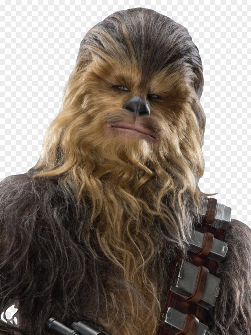 Chewbacca Han Solo Star Wars Sequel Trilogy Wookiee PNG