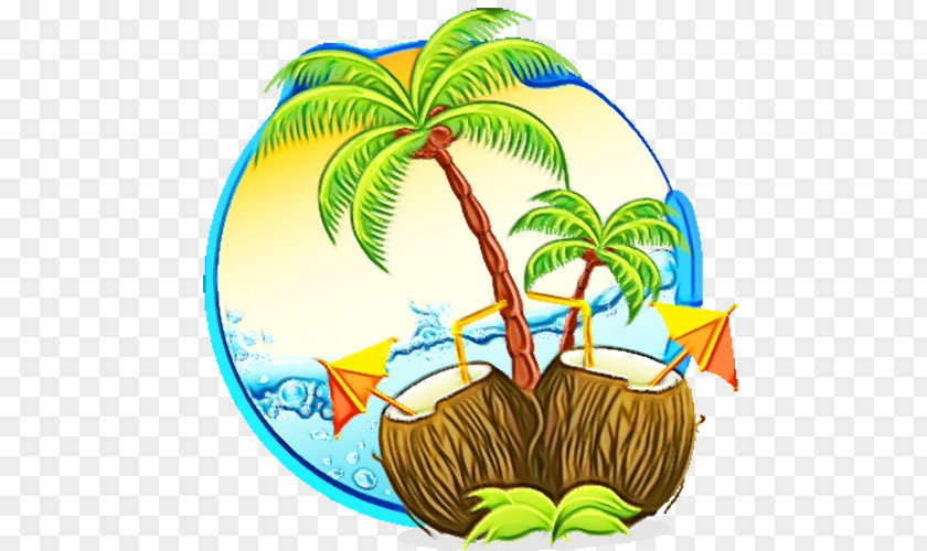 Flowerpot Plant Stem Coconut Tree Cartoon PNG
