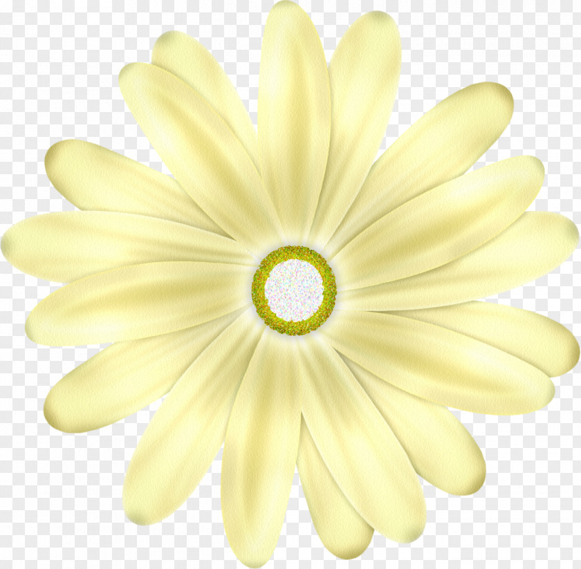 Yellow Flower PNG