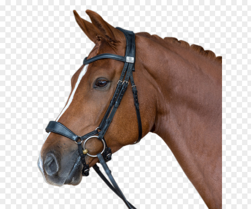 Horse Noseband Bridle Snaffle Bit Equestrian PNG
