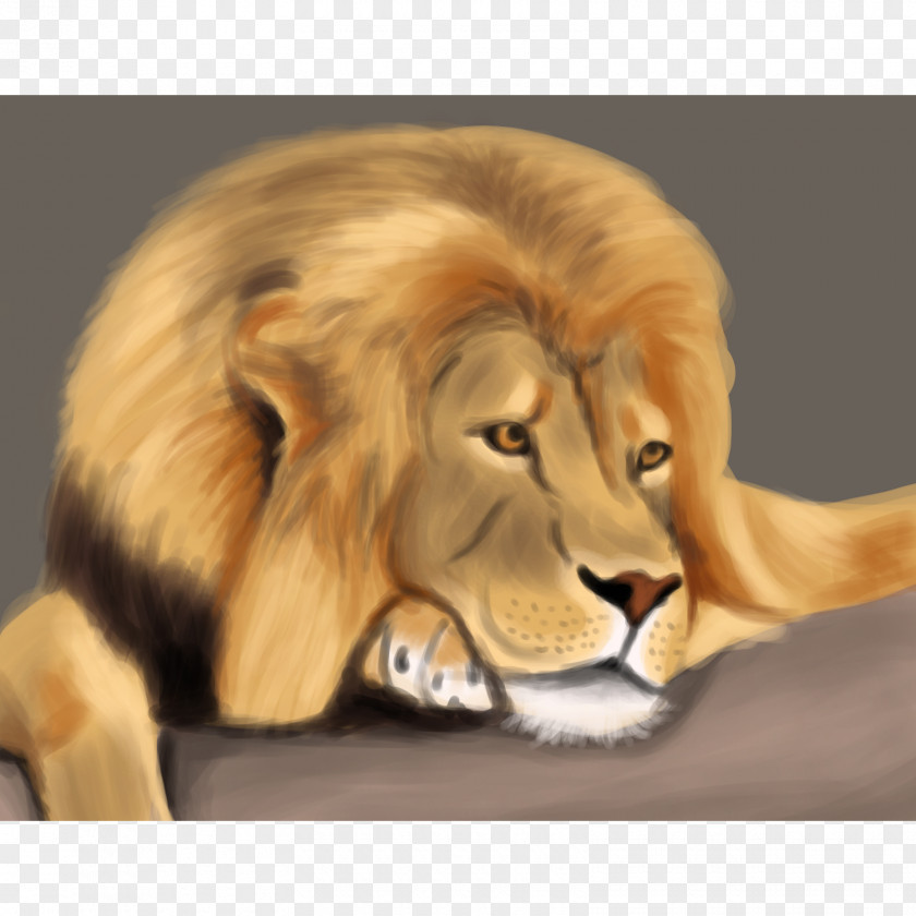Lion Running Digital Painting Illustration Cat Whiskers PNG