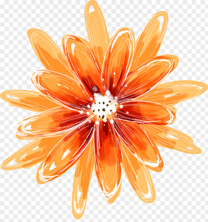 Orange Flower Painting Oil PNG