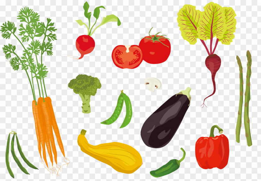 Vegetables Vector Material Tomato Adobe Illustrator Illustration PNG