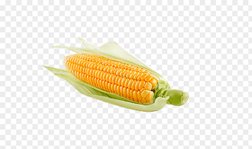 Corn On The Cob Tea Sweet Food Nut PNG