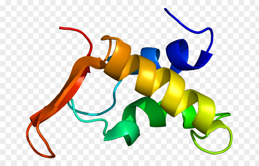 Histone H1 H3 Deacetylase Methylation PNG
