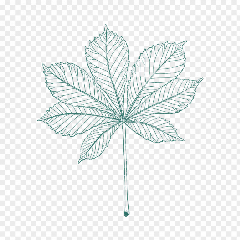 Maple Leaf Pattern Image Clip Art Adobe Photoshop Design PNG