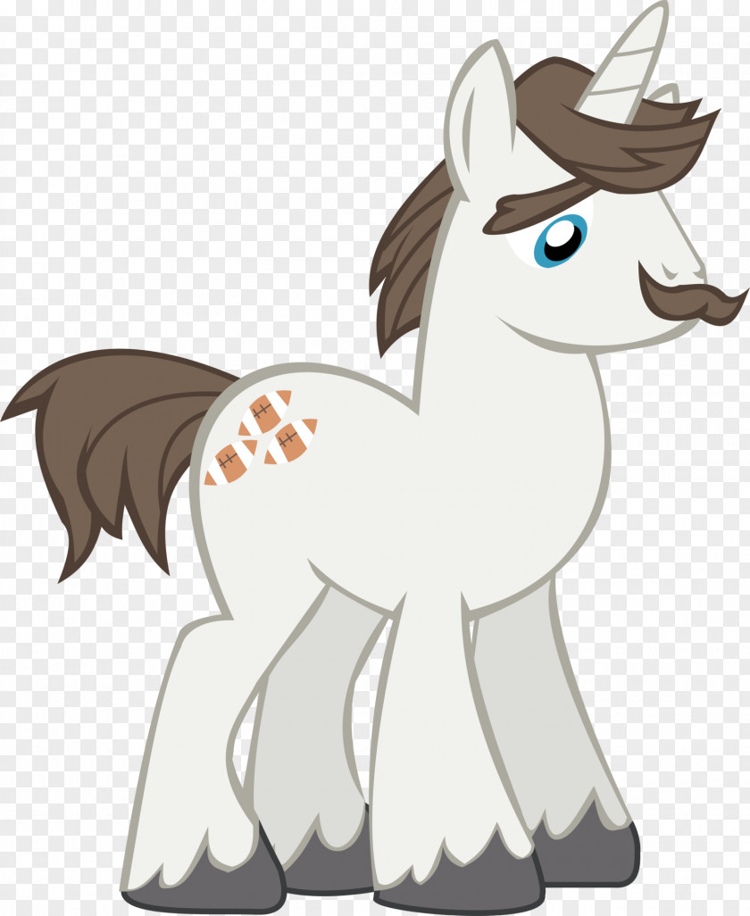 Father Vector Rarity Sweetie Belle Rainbow Dash My Little Pony PNG