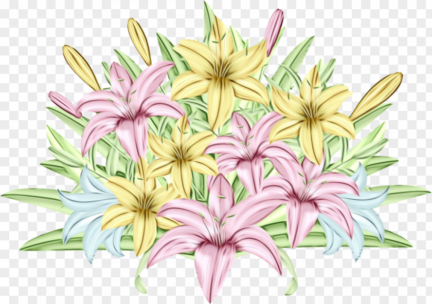 Flower Pink Plant Lily Petal PNG