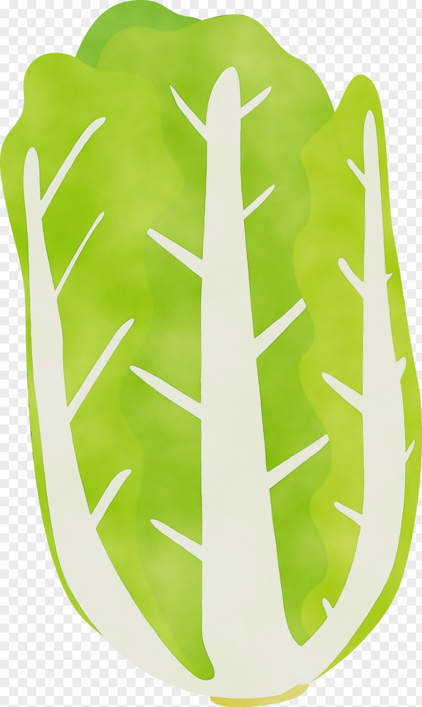 Green Yellow Leaf PNG
