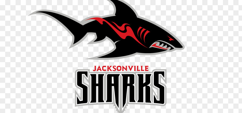 Jacksonville Veterans Memorial Arena 2018 Sharks Season Football League National PNG