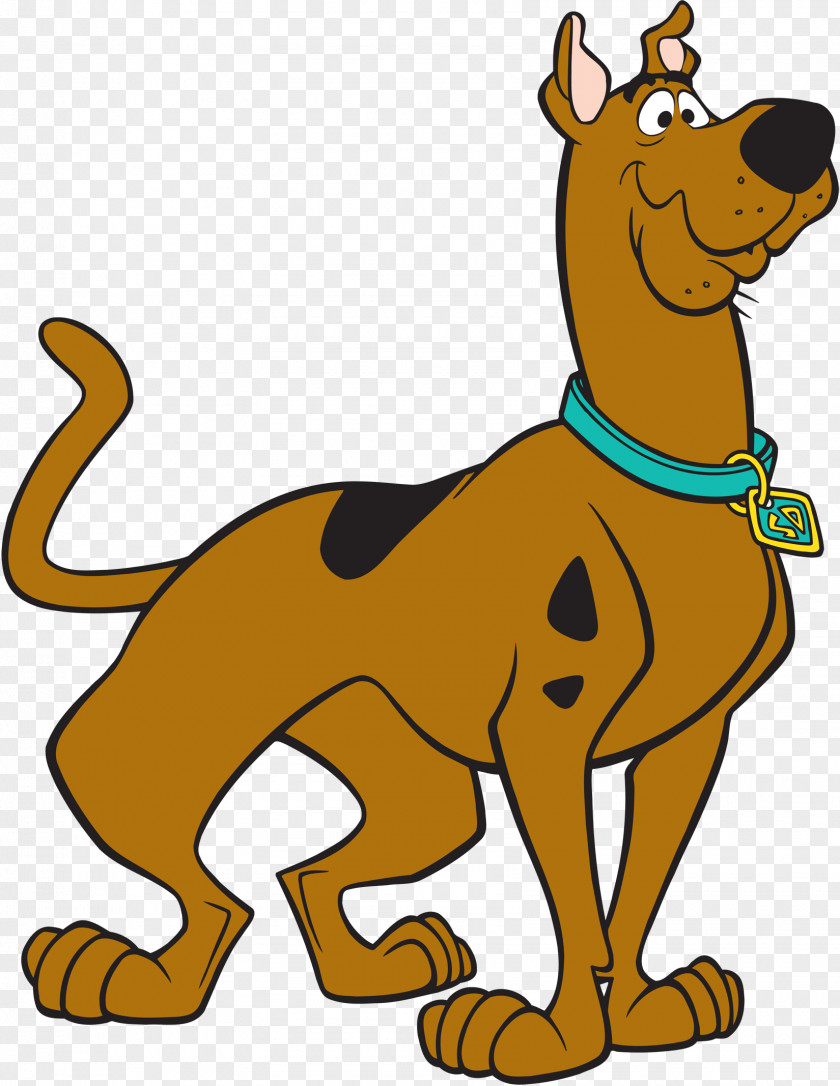 Scooby Doo Shaggy Rogers Velma Dinkley Fred Jones Daphne Blake PNG Blake, scooby doo clipart PNG