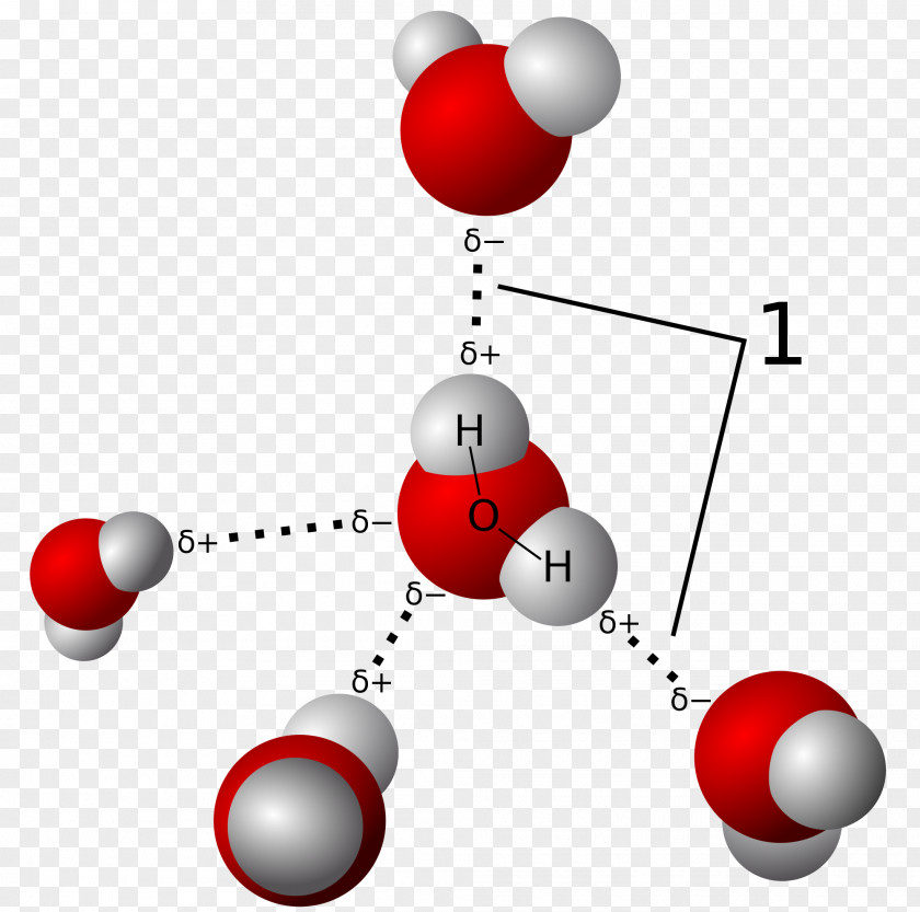 Triple H Hydrogen Bond Chemical Covalent Molecule Atom PNG