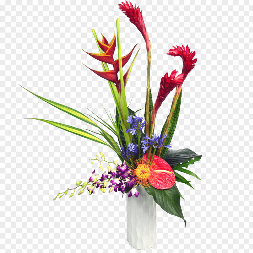 Tropical Flower Cut Flowers Floristry Floral Design Bouquet PNG