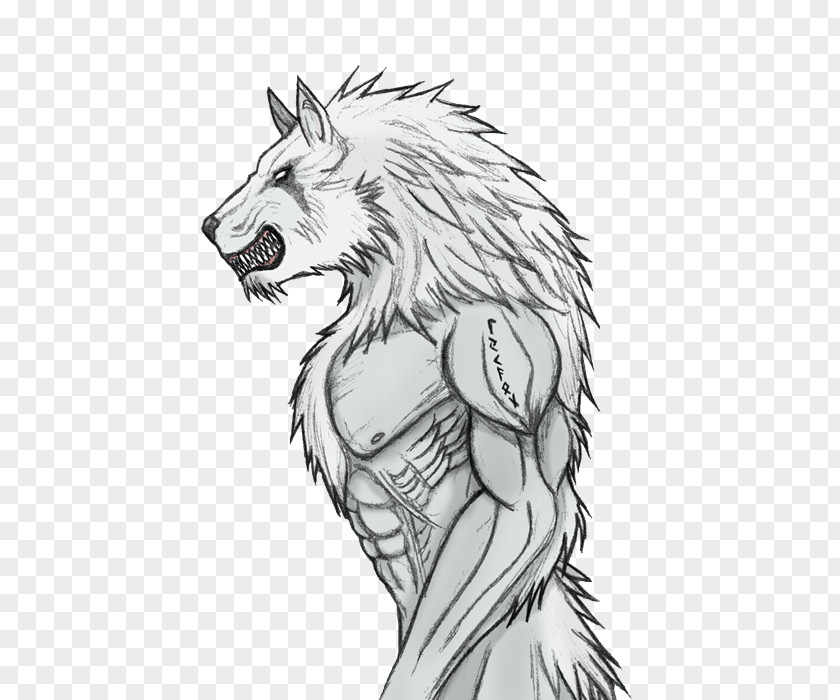 Werewolf Gray Wolf Lycaon Drawing Sketch PNG