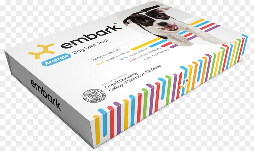 Consumer Card Dog Genetics Genetic Testing Genealogical DNA Test PNG