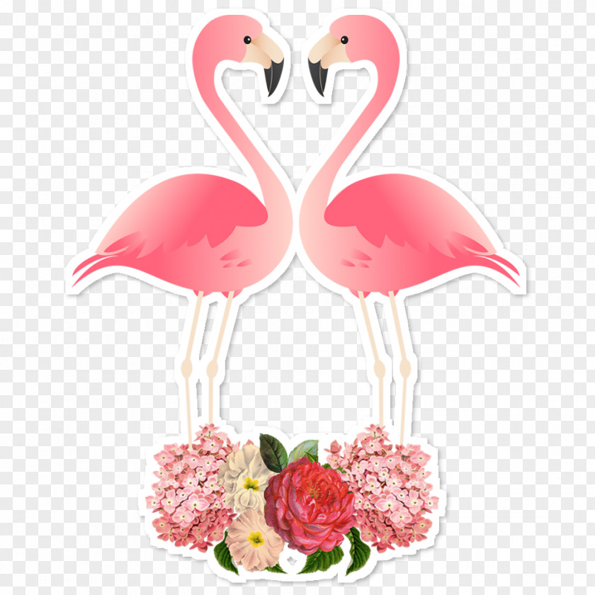 Flamingos Bird Paper Wallpaper PNG