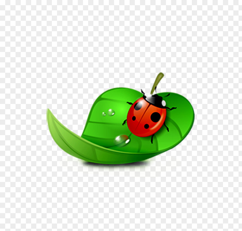 Ladybug On Green Leaf Ladybird Clip Art PNG