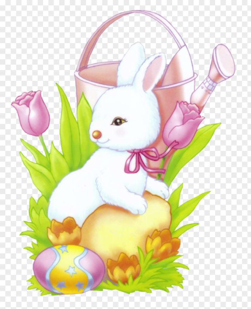 Rabbit Hare Easter Bunny Domestic European PNG