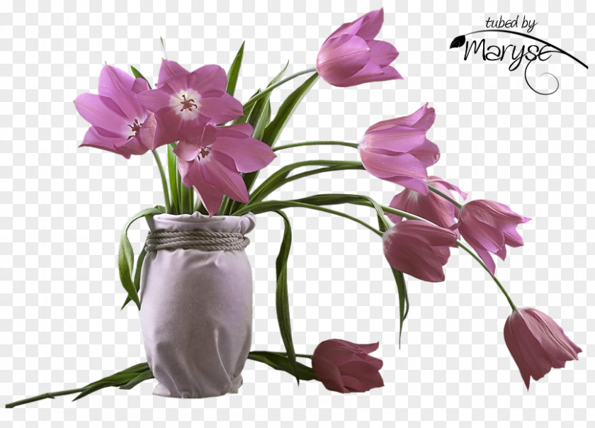 August Flower PNG