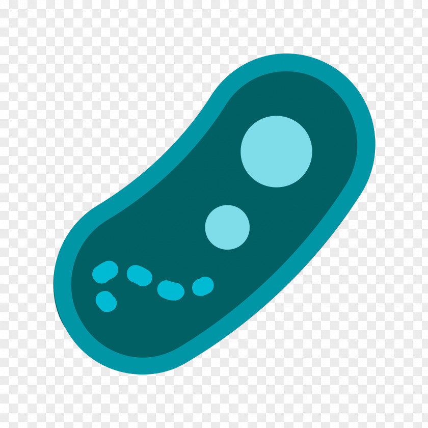 Bactria Outline Transparency Clip Art Bacteria PNG