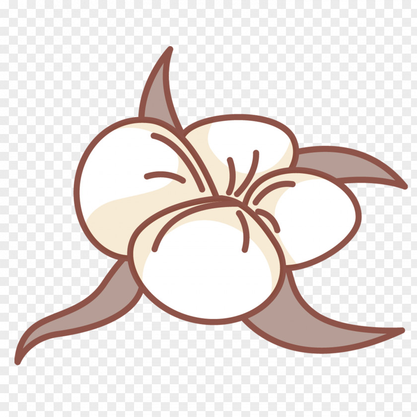 Cotton Plant Vector Graphics Image Design Logo PNG