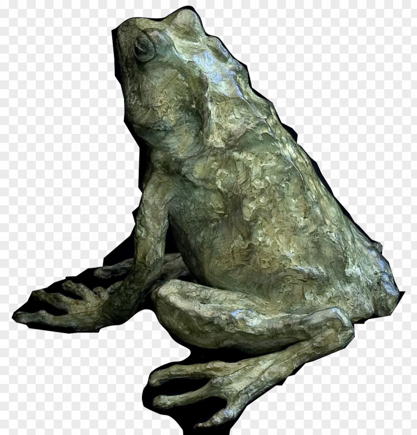 Frog Toad True Bronze Sculpture Tree PNG