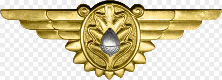 United States Navy Flight Surgeon Badge Insegna PNG