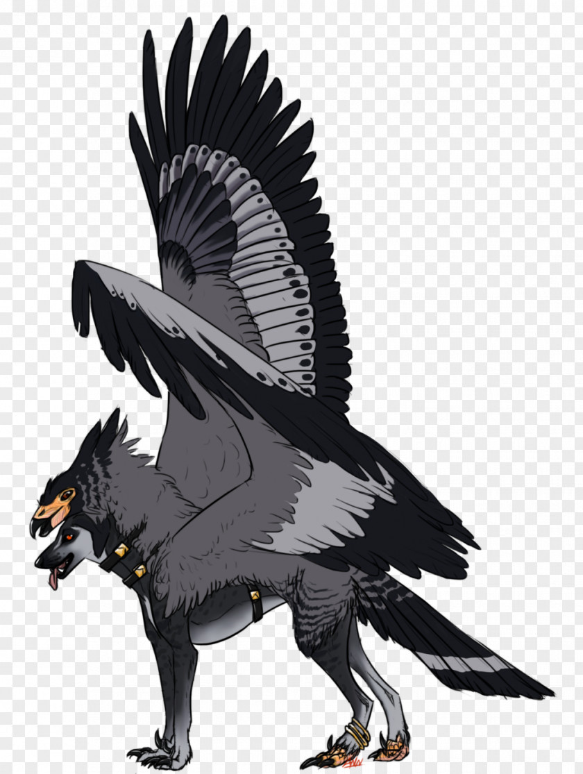 Eagle Bald Vulture Beak Fauna PNG