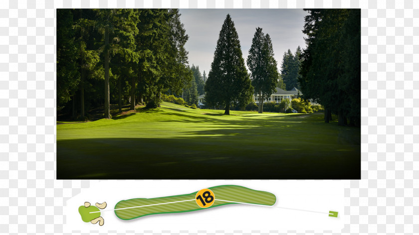 Golf Sahalee Country Club Course Women's PGA Championship PNG