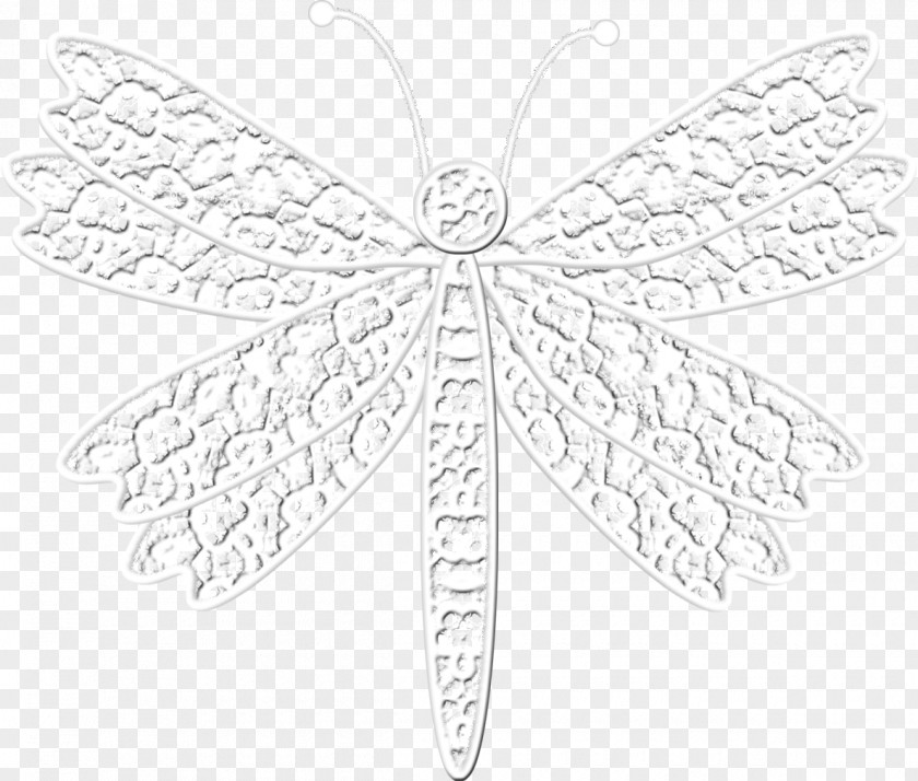 Lace Insect Butterfly Drawing Monochrome PNG