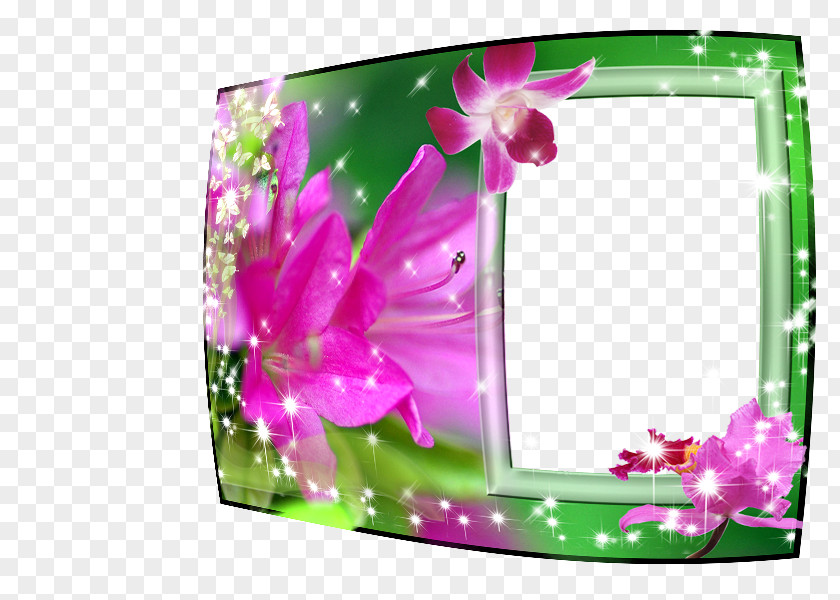 Lente Picture Frames Photography Image GIF PNG