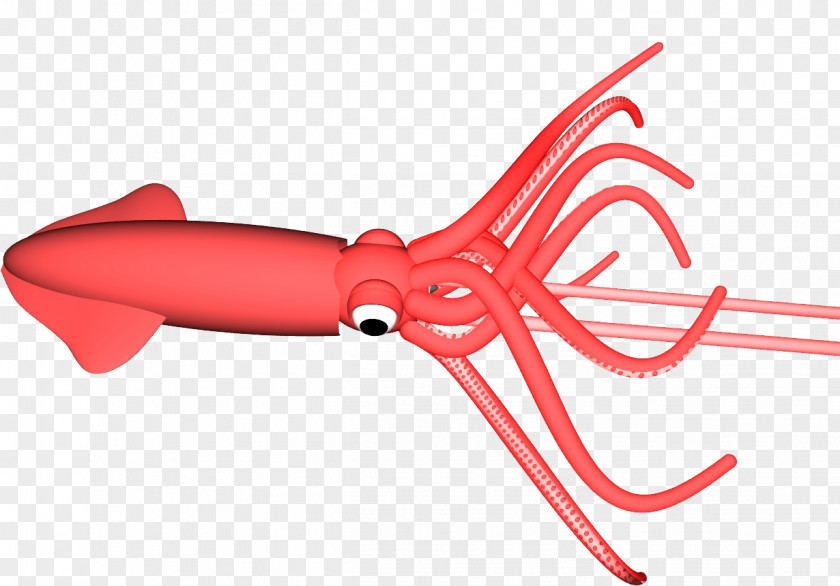 Squid Giant Cephalopod Clip Art PNG