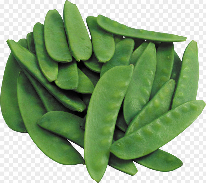 Vegetable Lablab Bean Lentil Food PNG