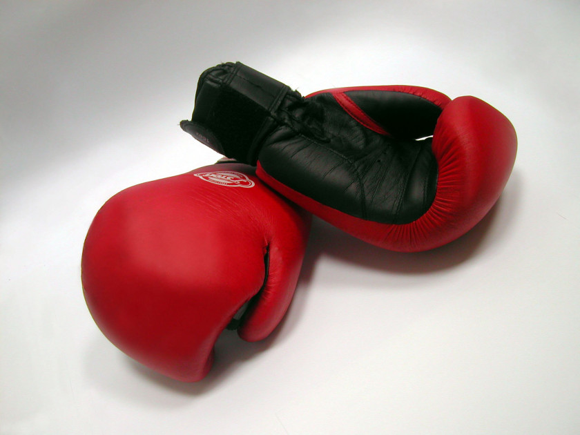 Boxing Gloves Glove Punching & Training Bags PNG